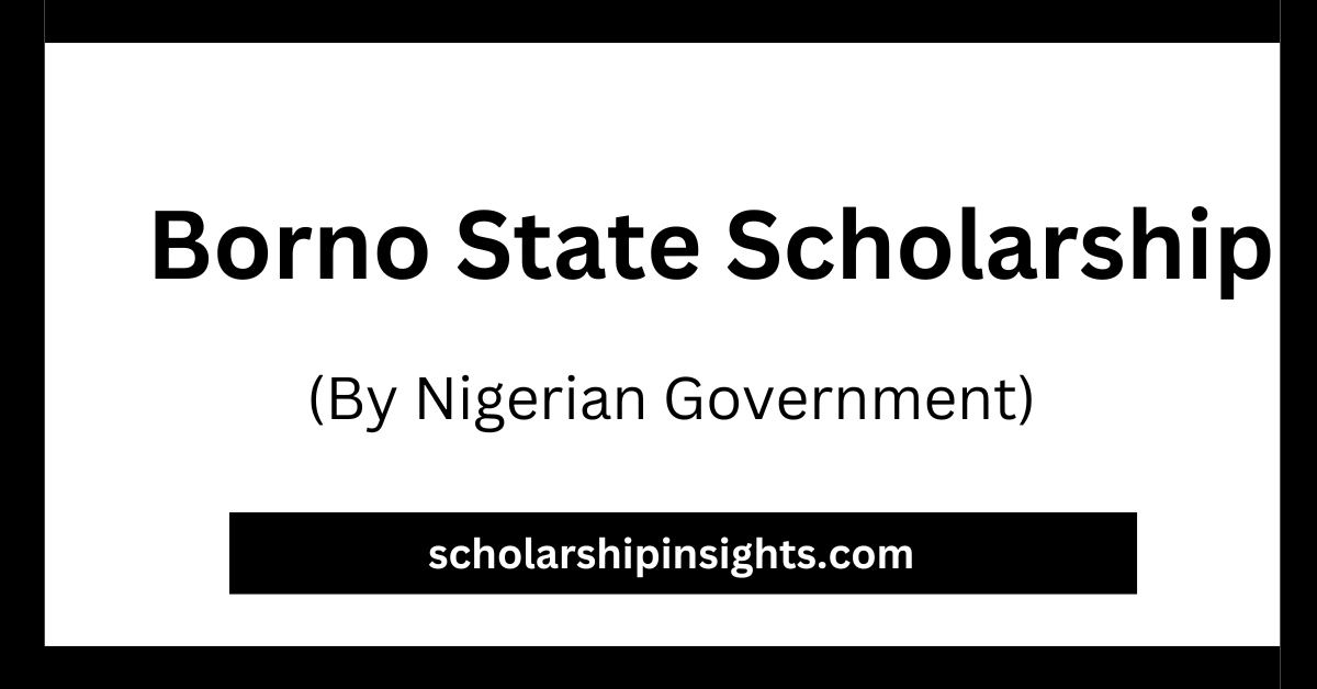 Borno State Scholarship