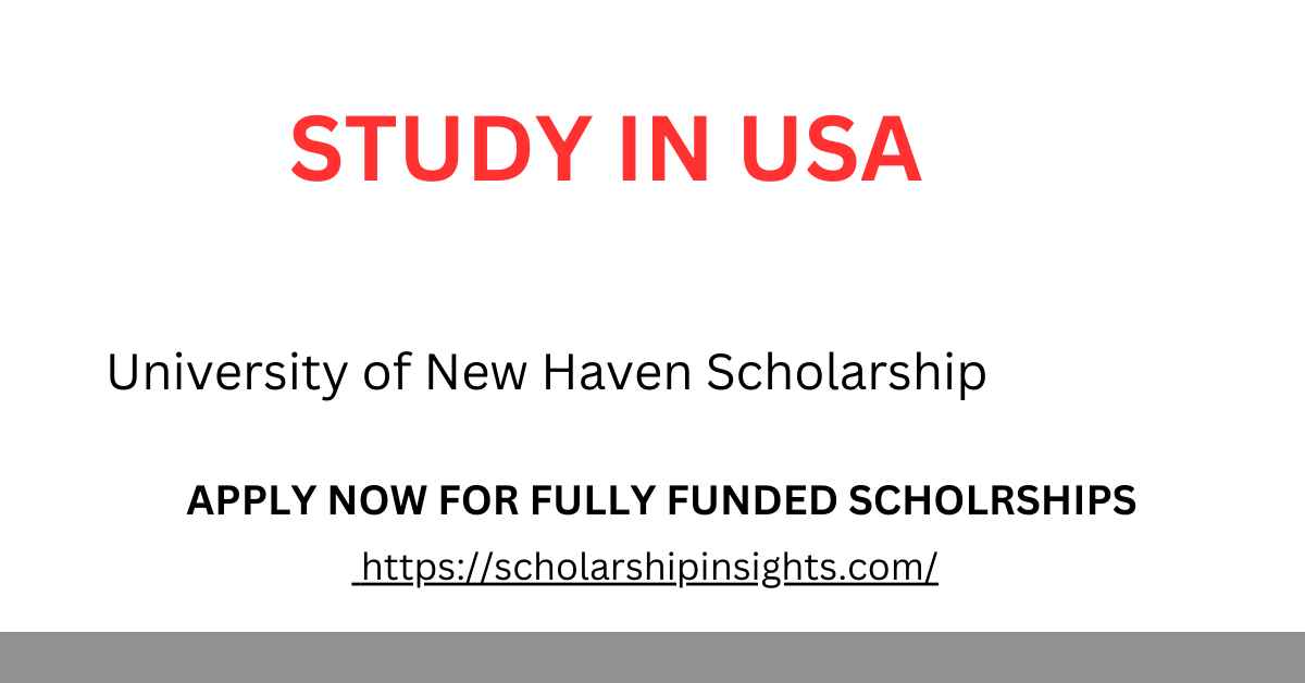 University of New Haven Scholarship 2024 USA